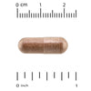 AHCC Immune Support 60 Vegicaps
