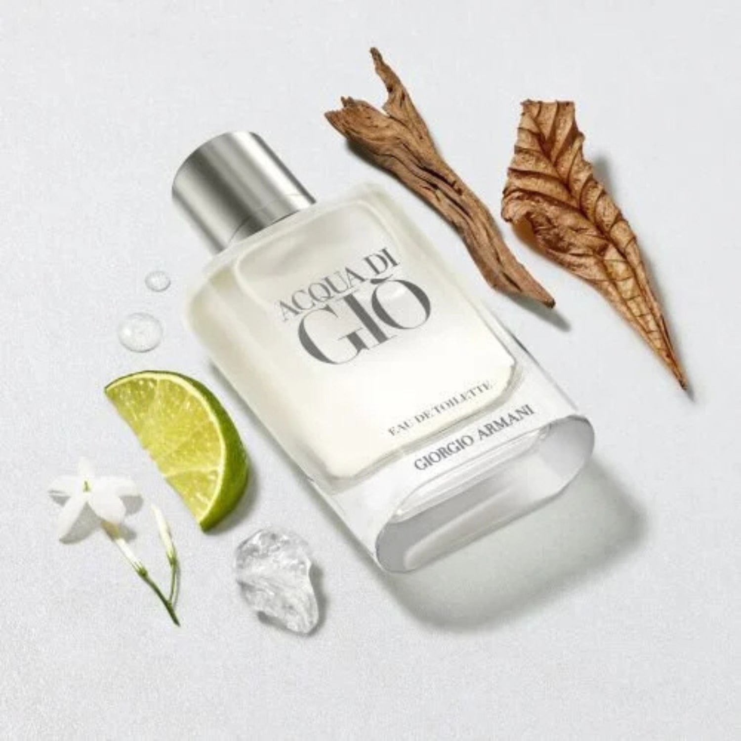 Giorgio Armani Acqua di Giò EDT 3.4 oz Classic Men's Cologne