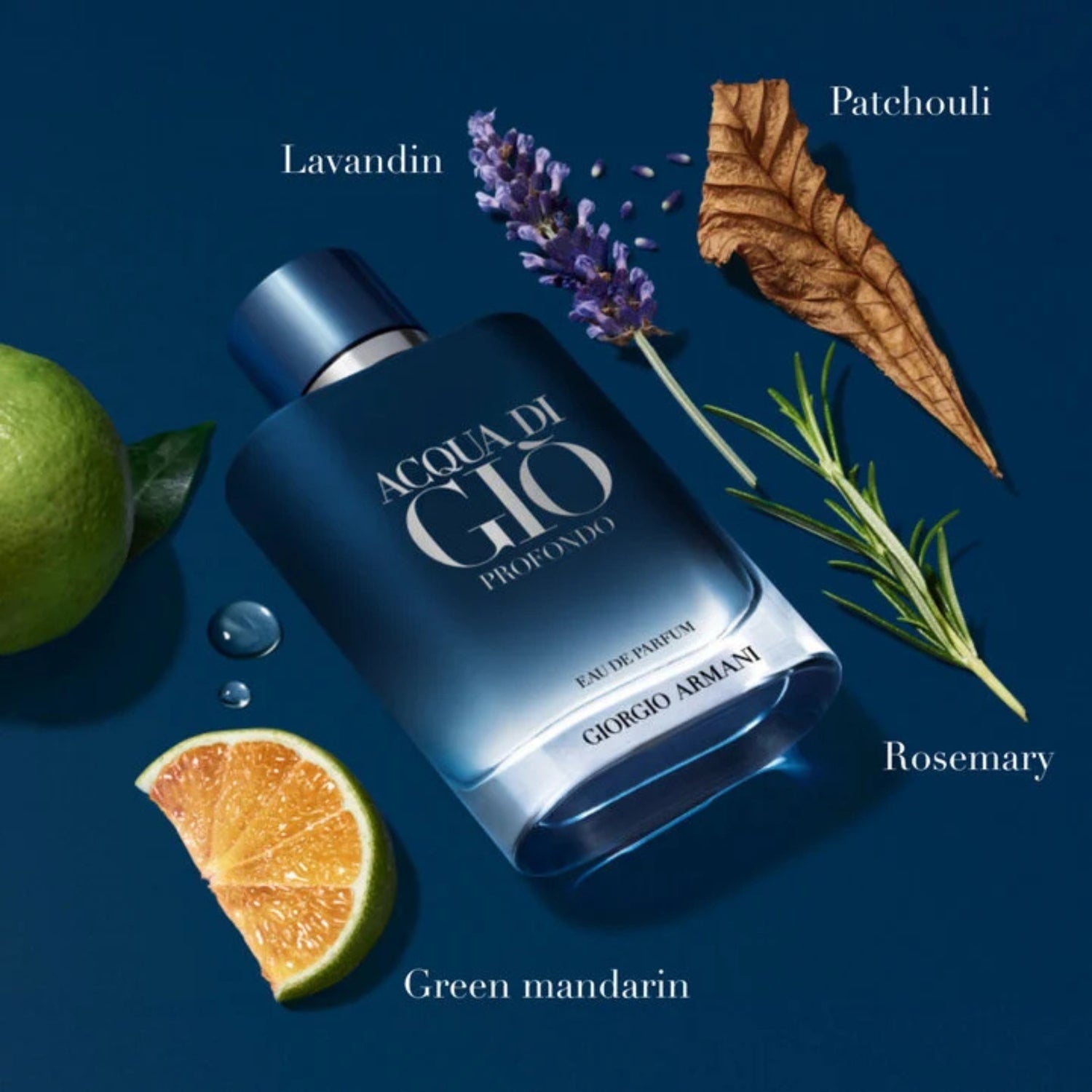 Giorgio Armani Acqua di Giò Profondo EDP 100ml Men's Cologne